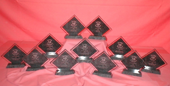 Some of Katrina's Seventeen UCMVA  Awards_9.JPG